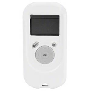 Dolphin Basic Wireless Remote - CLEARANCE SAFETY COVERS
